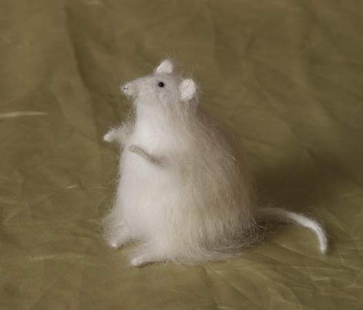 mouse_fat.2JPG.JPG