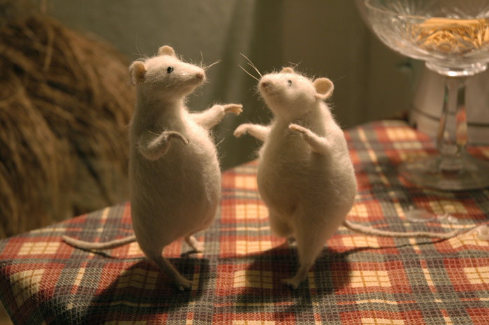 dancing rats