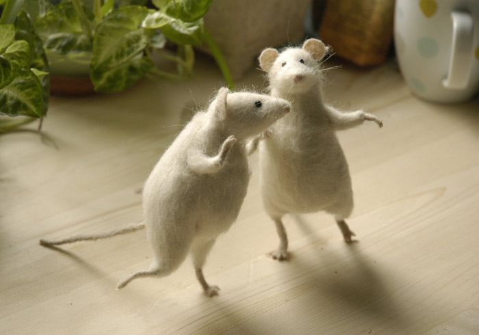 крыски танцуют