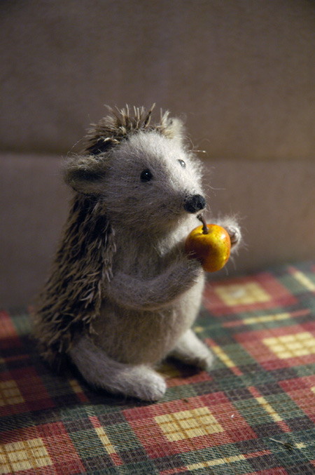 hedgehog holding an apple