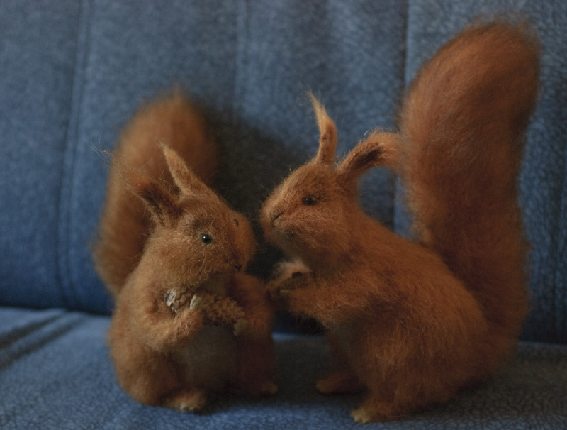 two red squirrels