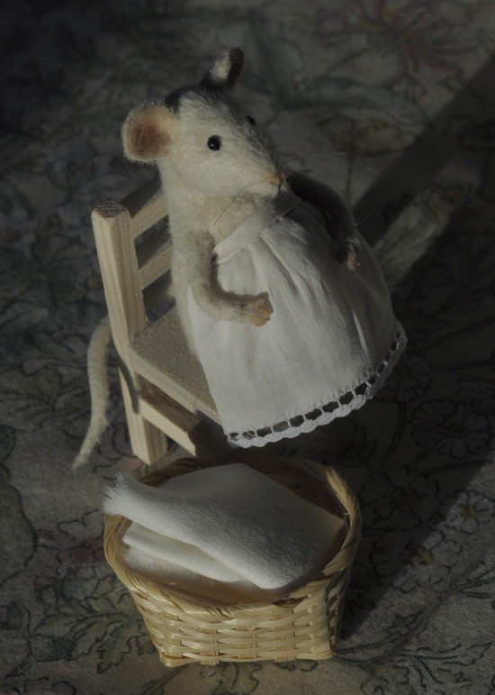 pregnant mouse