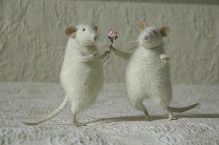 flirting mice