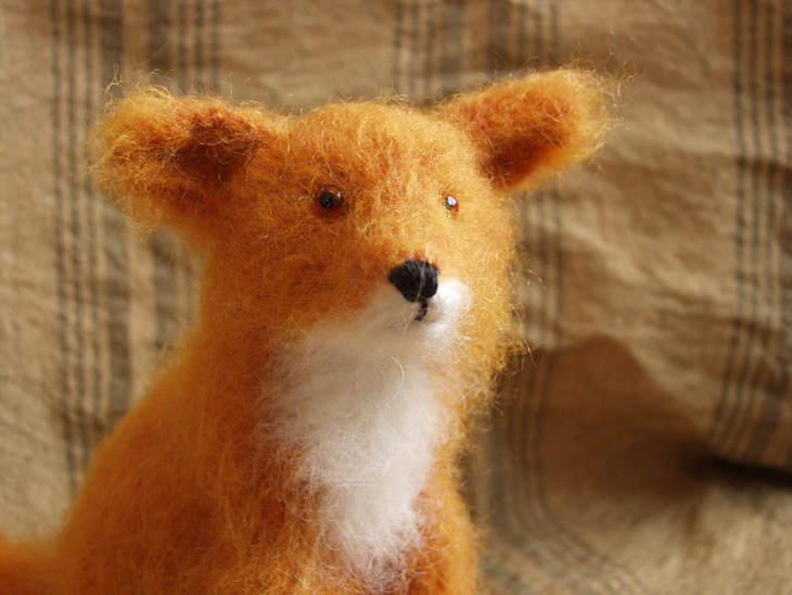 red fox-cub (close-up)