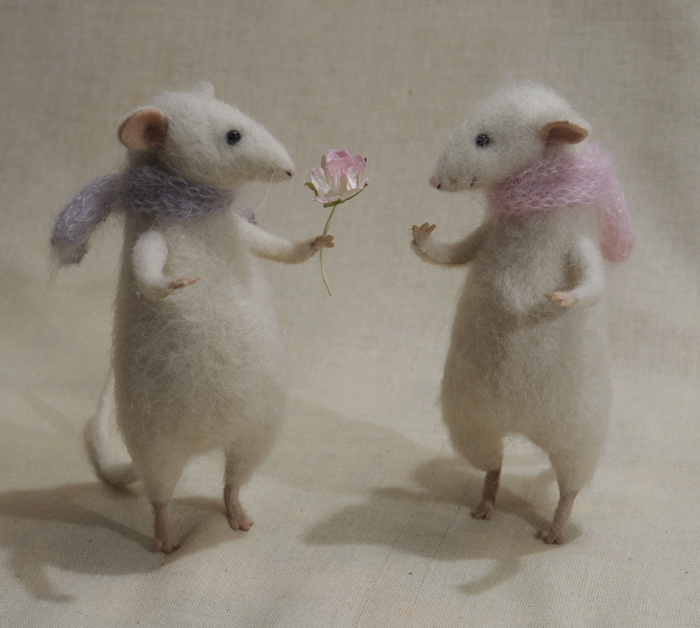 rats with a rose