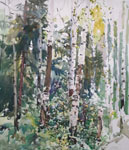 landscape watercolor -forest