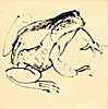frog drawing 1