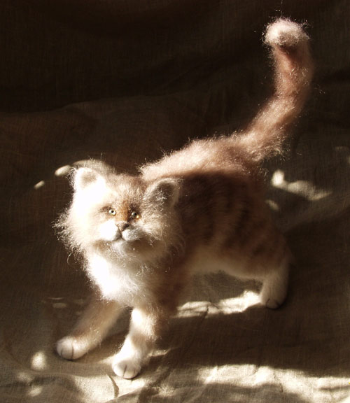 Кот-разбойник