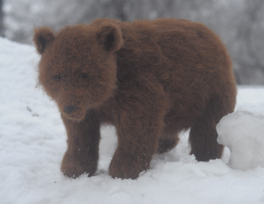 bear in the snow