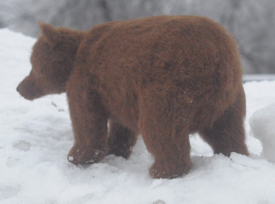 bear in the snow