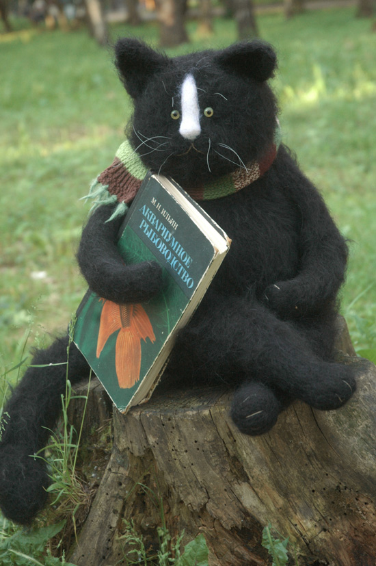 cat reading a book