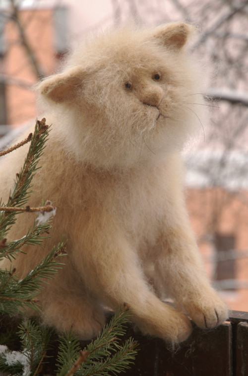 большой грустный кот