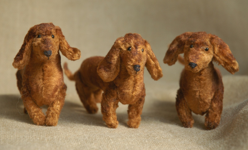 three dachshunds