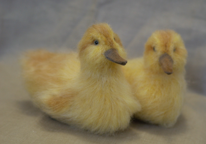 yellow ducklings