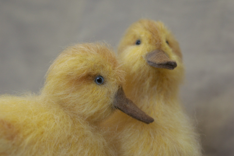 yellow ducklings