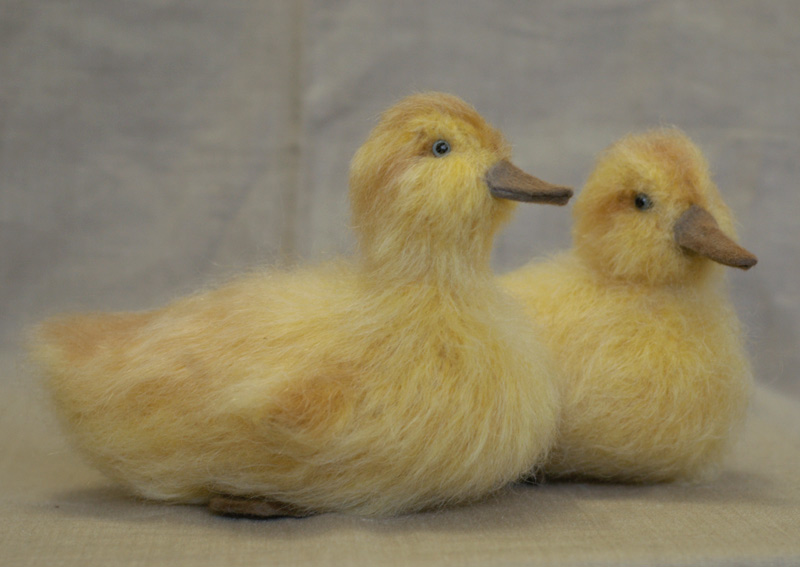 yellow ducklings