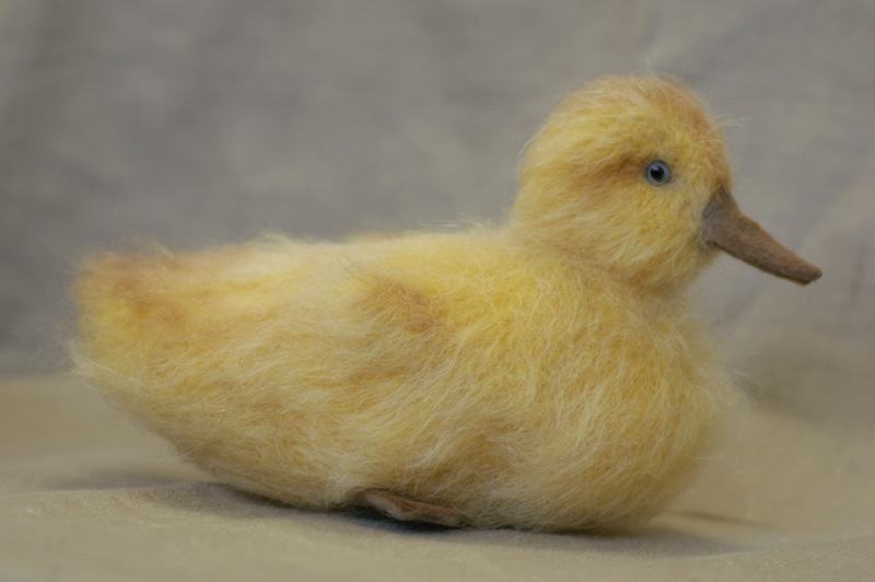 yellow duckling