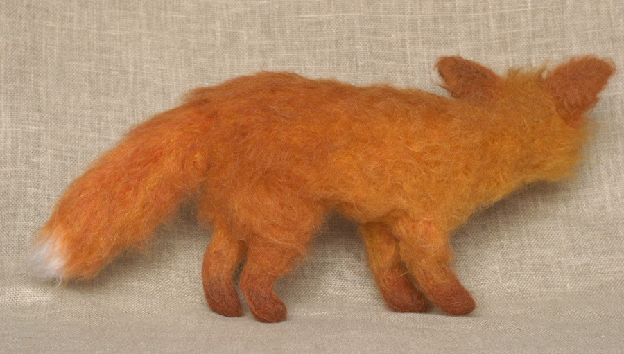 red fox