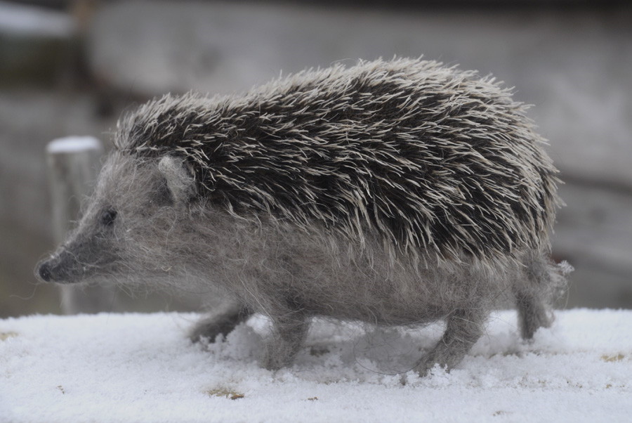 stuffed hedgehog on all fours