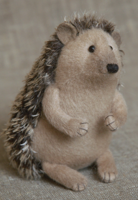 cute hedgehog