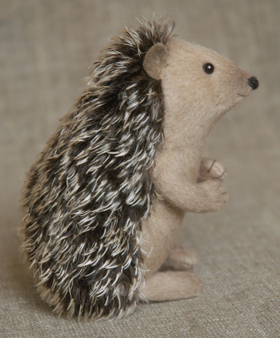 cute hedgehog