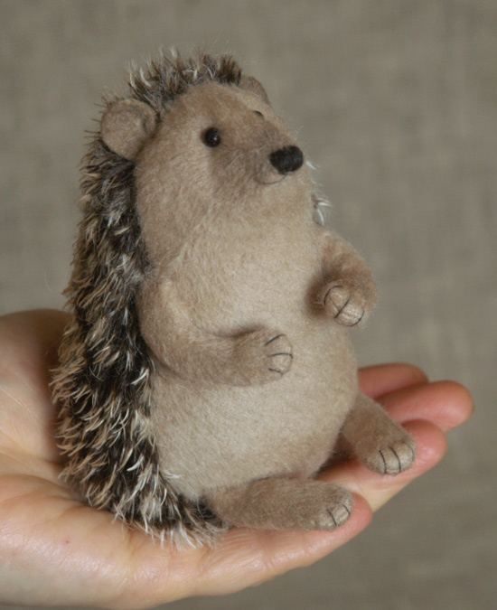 cute hedgehog