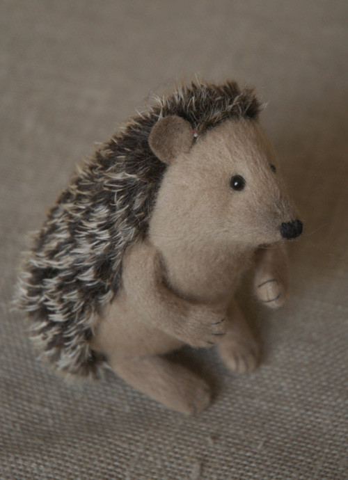 cute hedgehog