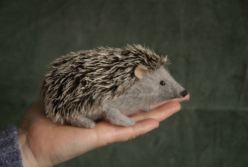 hedgehog family