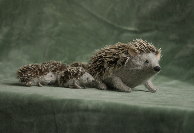 hedgehog family