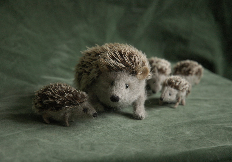 hedgehog family