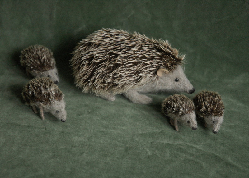 hedgehog family