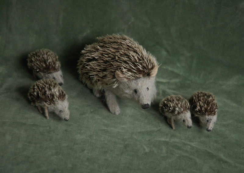 hedgehog family