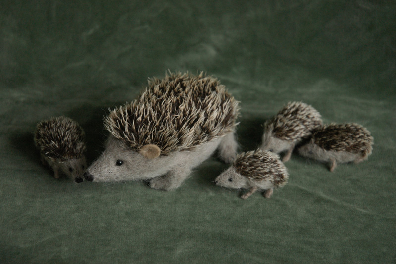 hedgehog family