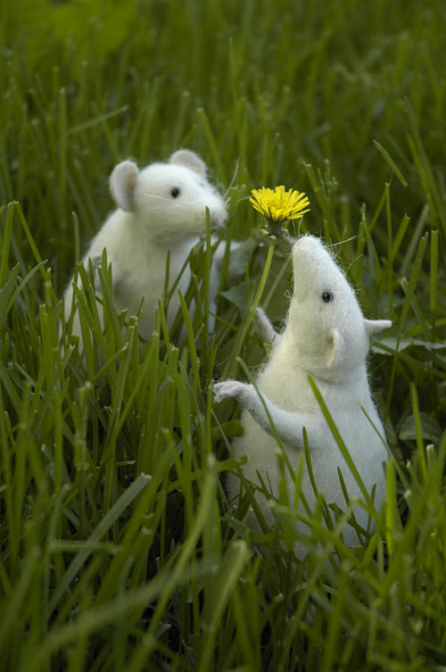 stuffed mice by a dandelion