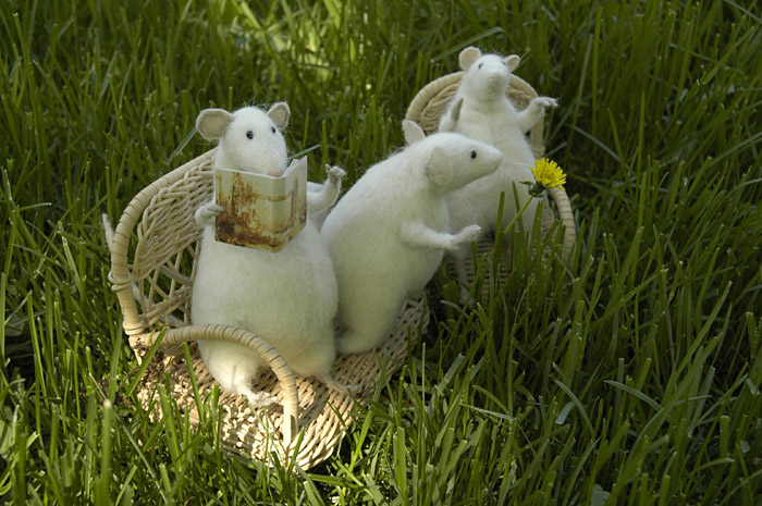 three mice in a garden