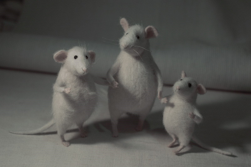 mouse friends
