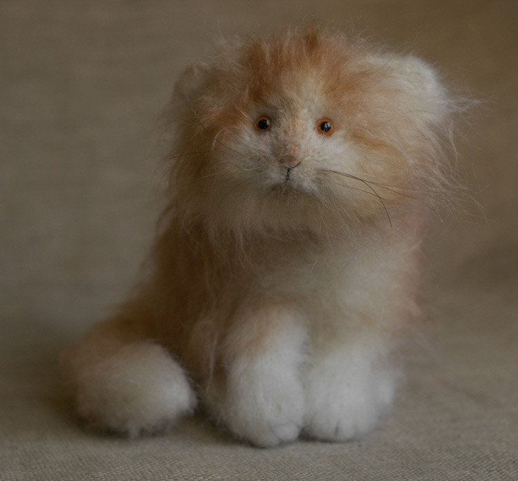 рыжий котенок