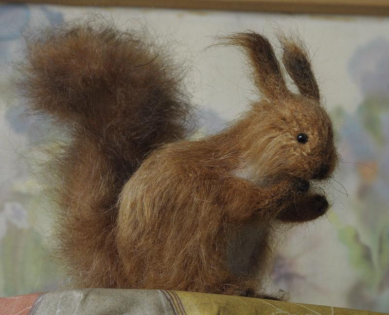 cute squirrel 