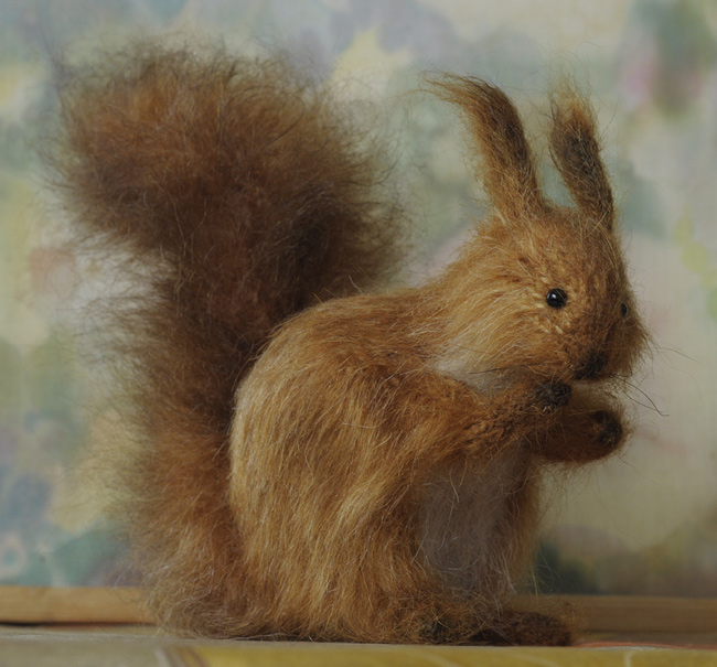cute squirrel 