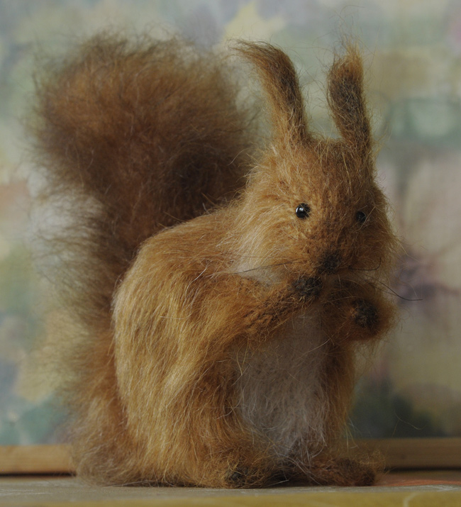 cute squirrel 