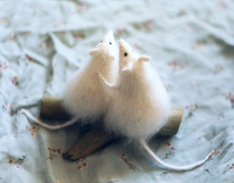 mice on a date