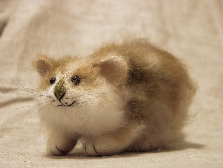 озорная кошка