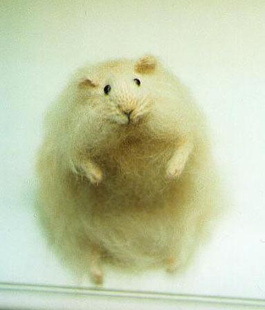 stuffed hamster, yellow