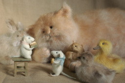 stuffed animals listening to a story
