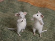 two young mice