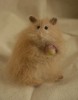 stuffed hamster holding an apple